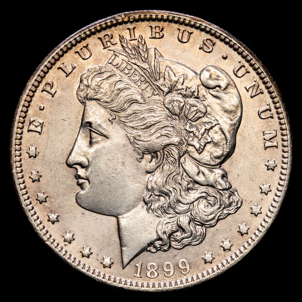 ESTADOS UNIDOS. 1 dólar. (Ar. 26,75g/38mm). 1899. Nueva Orleans O (Km#110). EBC+. Ligera pátina.