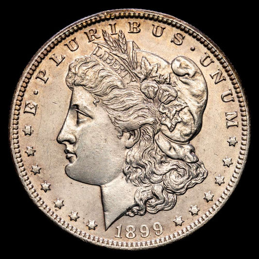 ESTADOS UNIDOS. 1 dólar. (Ar. 26,75g/38mm). 1899. Nueva Orleans O (Km#110). EBC+. Ligera pátina.